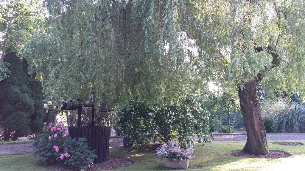 Bed & Breakfast Riverfield Bed And Breakfast 3*