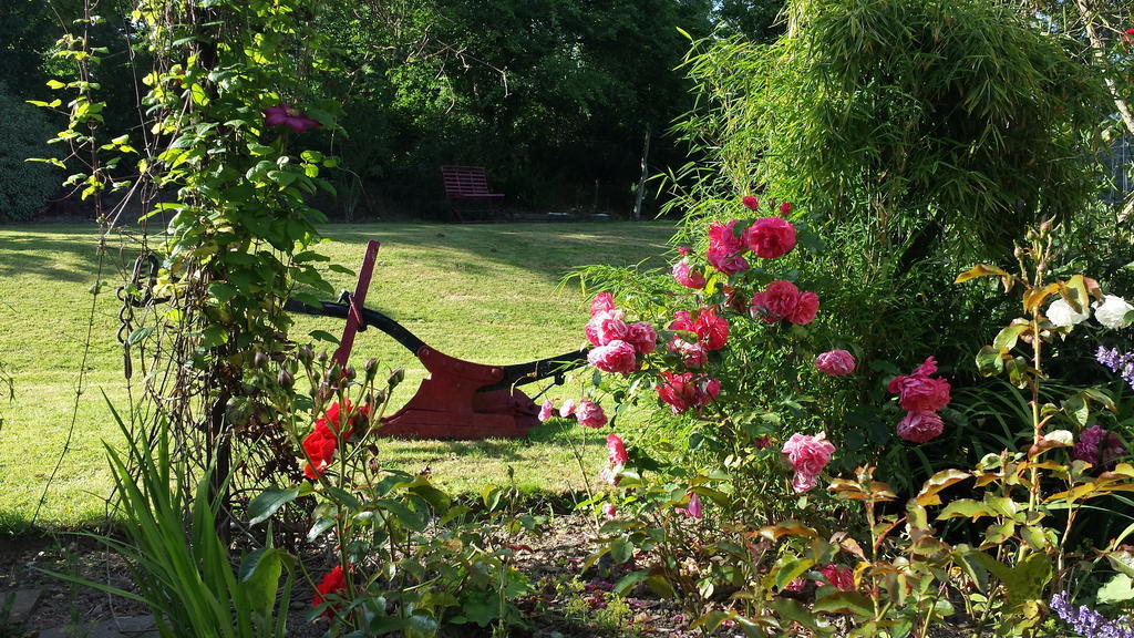 Bed & Breakfast Riverfield Bed And Breakfast