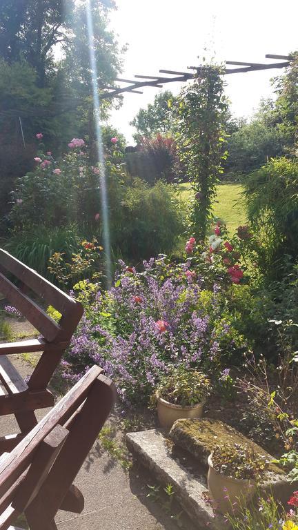 Riverfield Bed And Breakfast Gorey